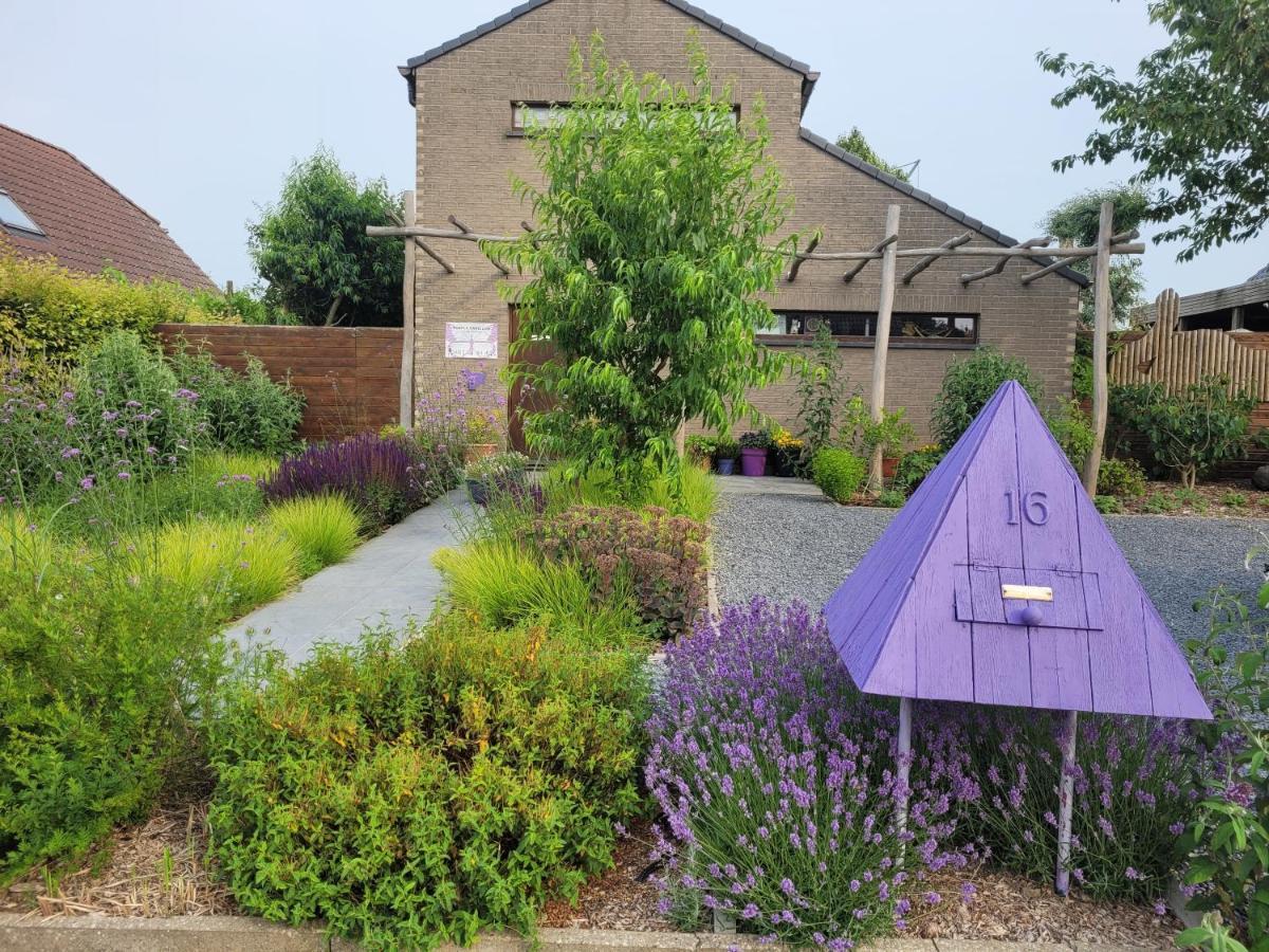 Purple Papillon Holiday home Heuvelland