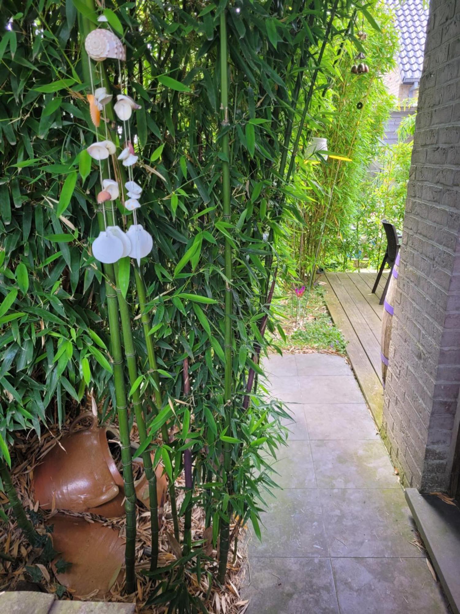 Holiday home Purple Papillon Heuvelland